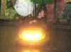 2006
